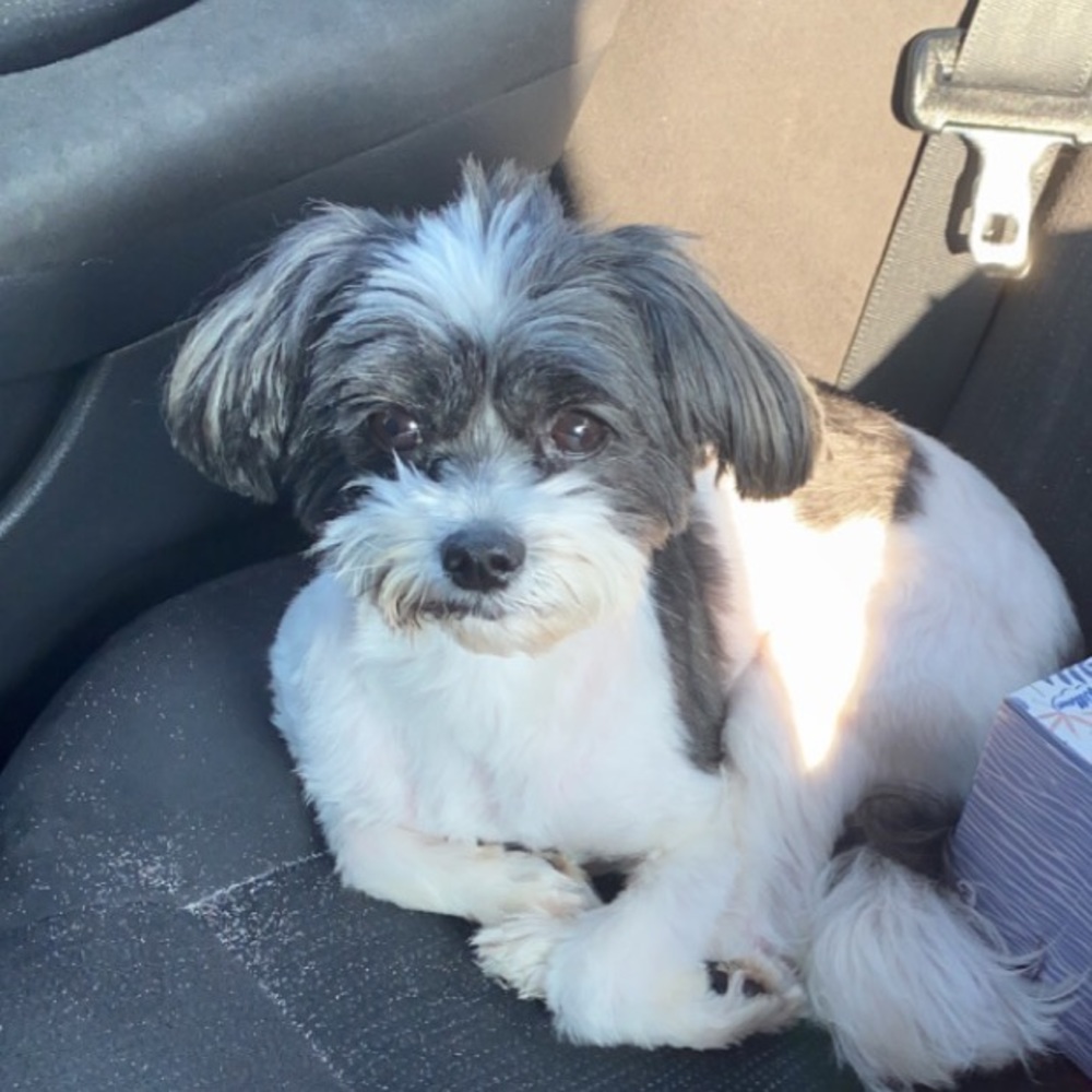 Meet your Posher, Maria